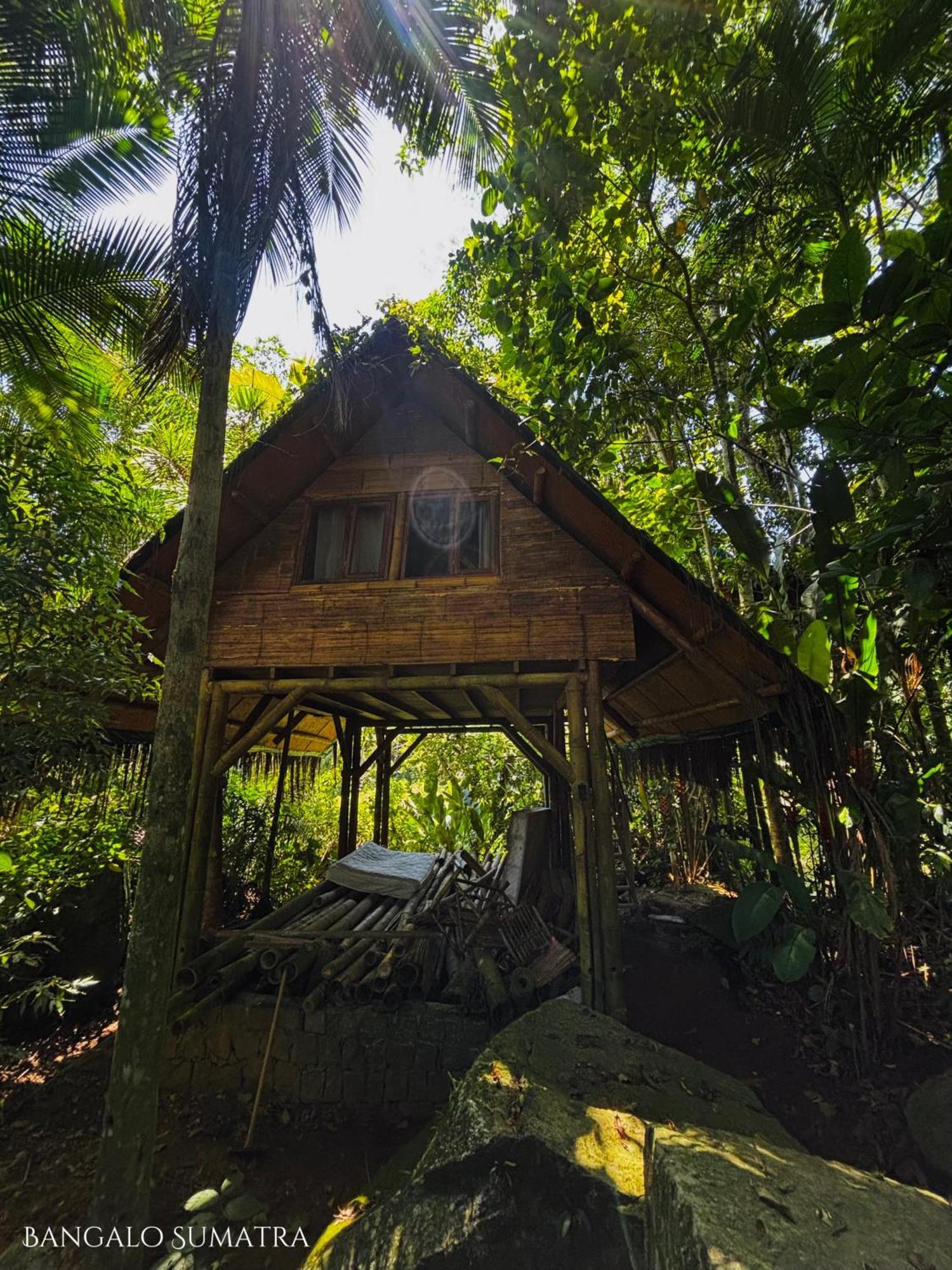 Bed and Breakfast Sitio Simple Life Убатуба Экстерьер фото