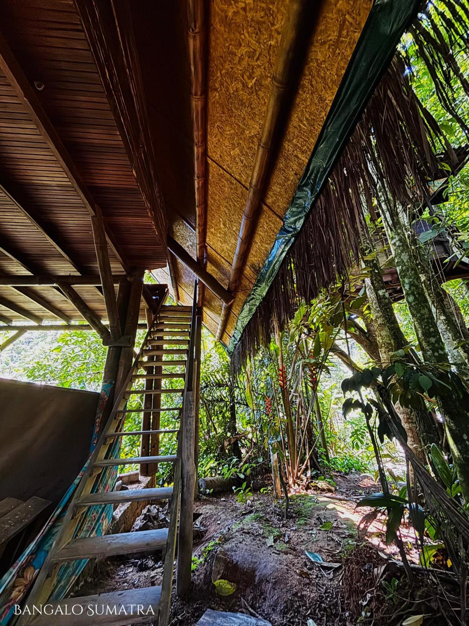 Bed and Breakfast Sitio Simple Life Убатуба Экстерьер фото